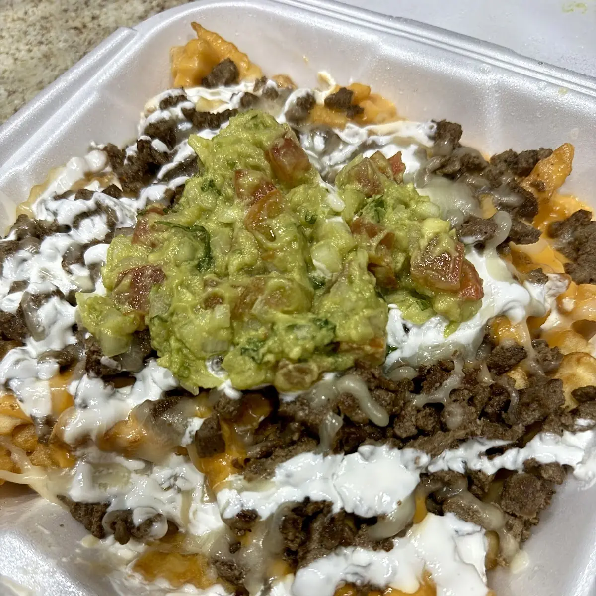 Carne Asada Fries