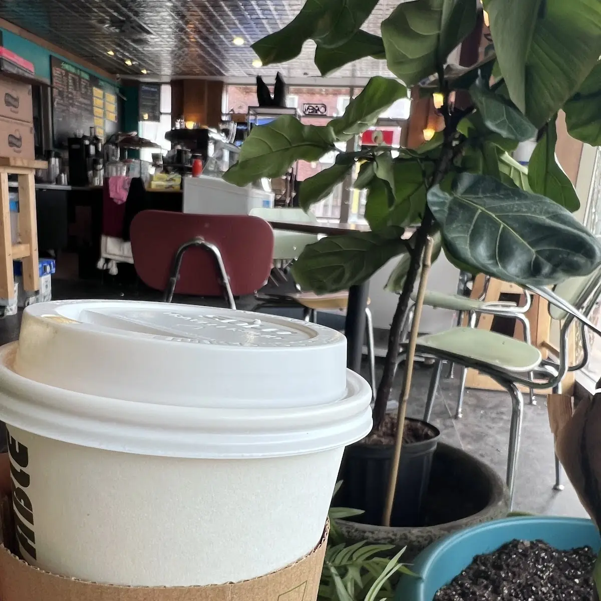 Cappuccino
