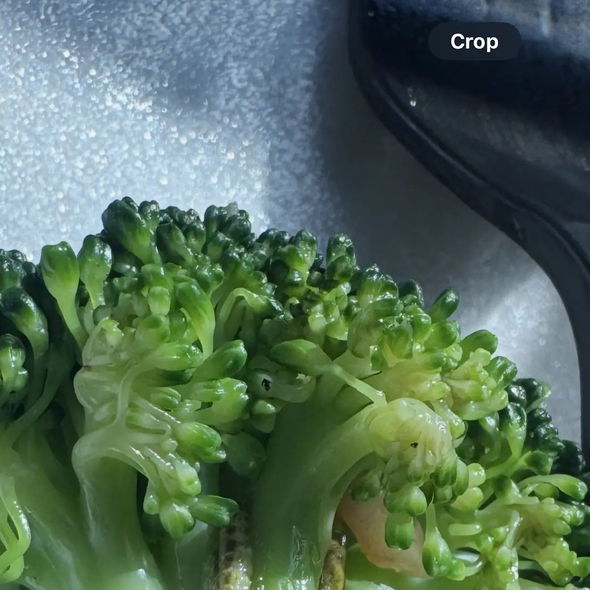 Steamed Vegetables