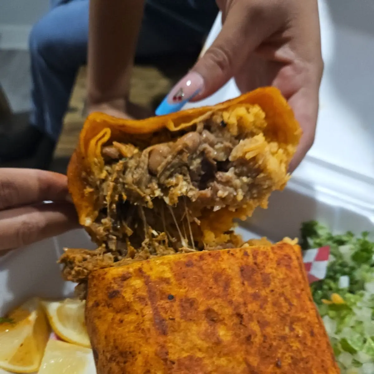 Birria Burrito