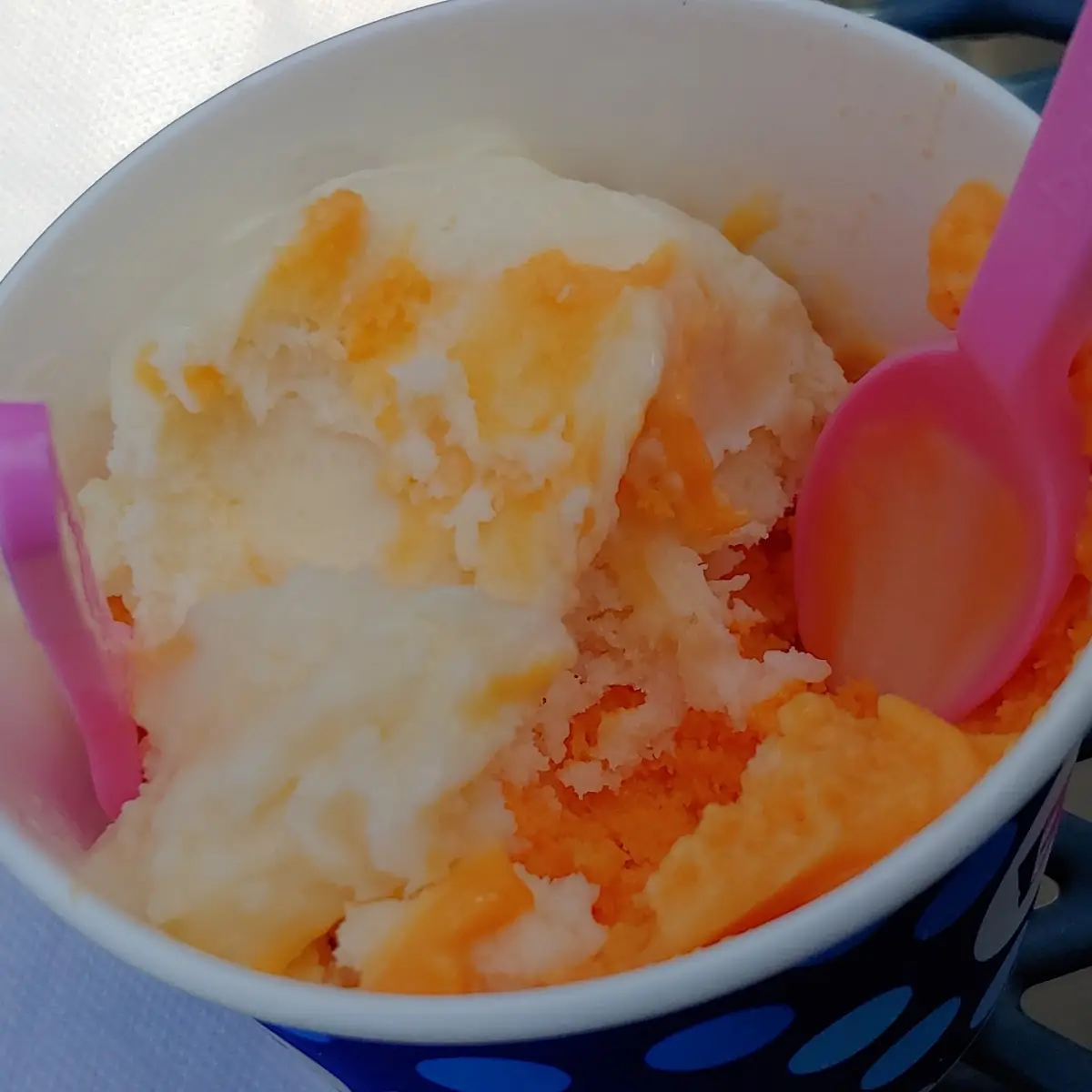 Orange Sherbet & Vanilla Yogurt