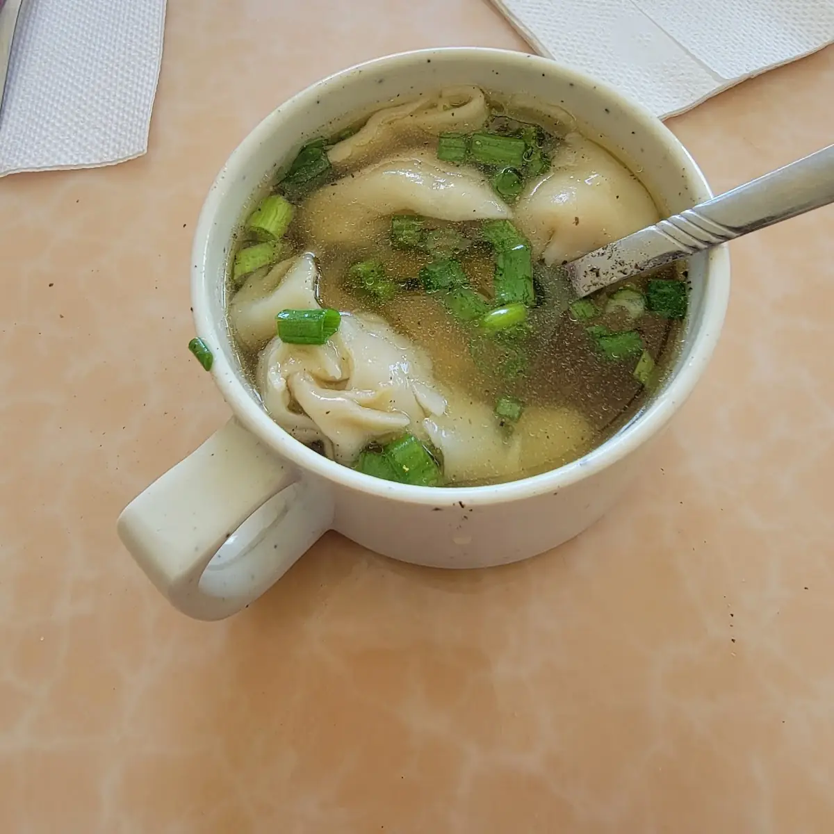 Wonton Soup