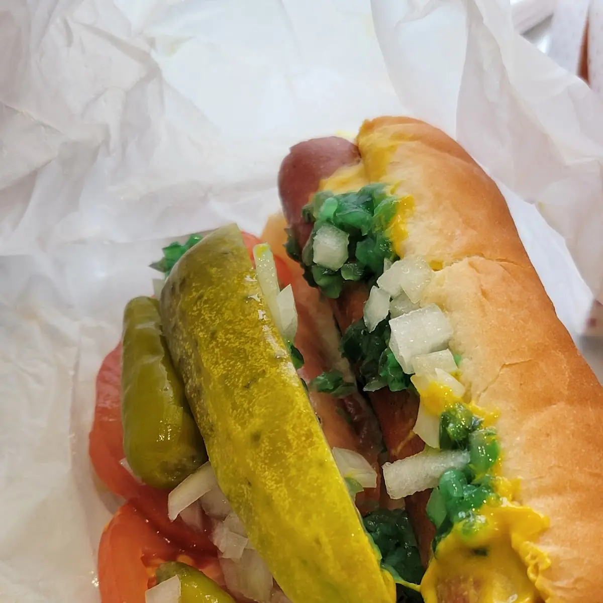 Chicago Style Hot Dog