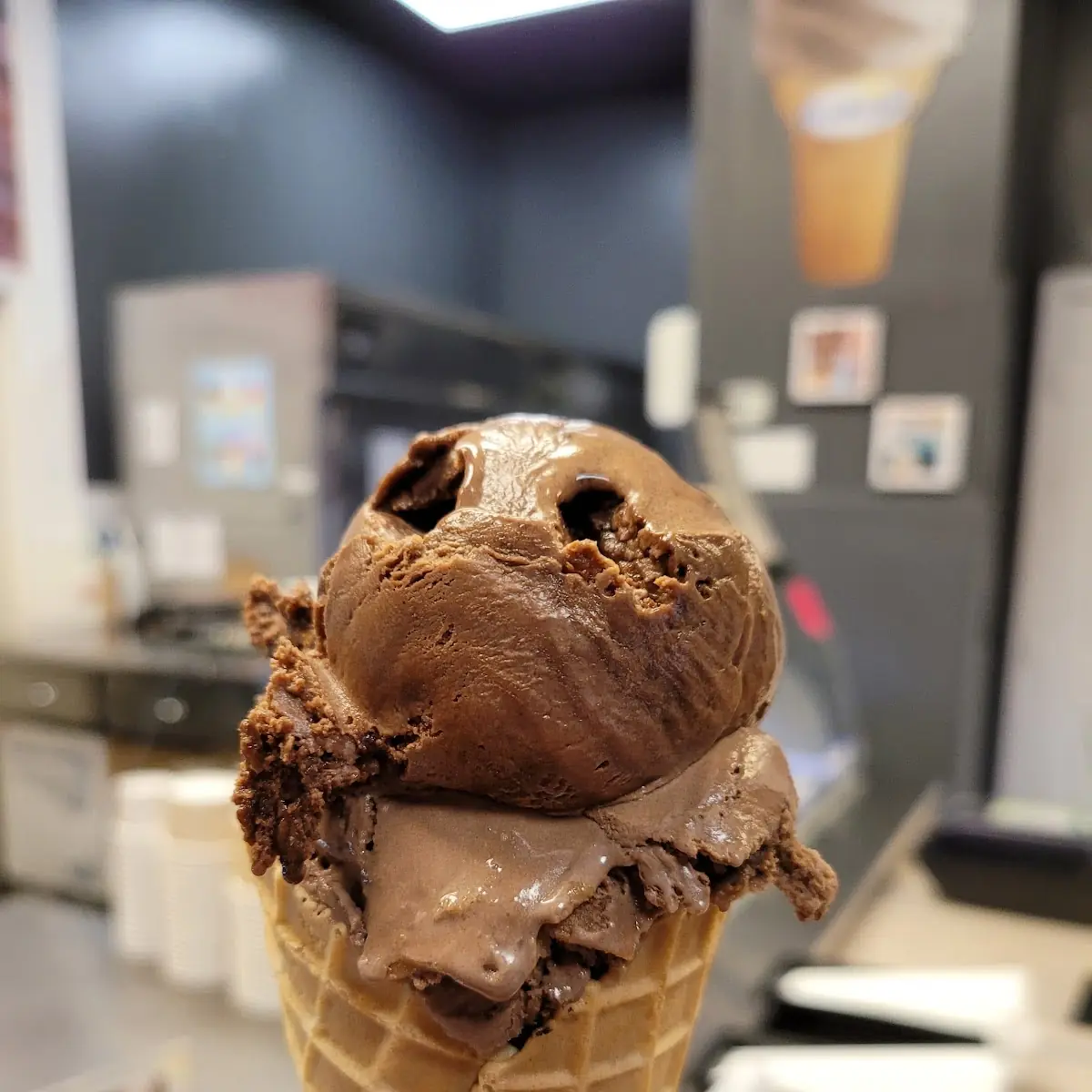 Double Fudge Brownie
