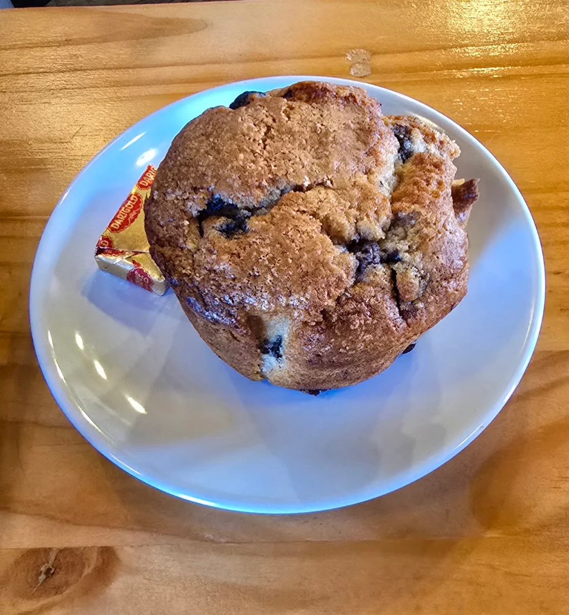Blueberry Muffin