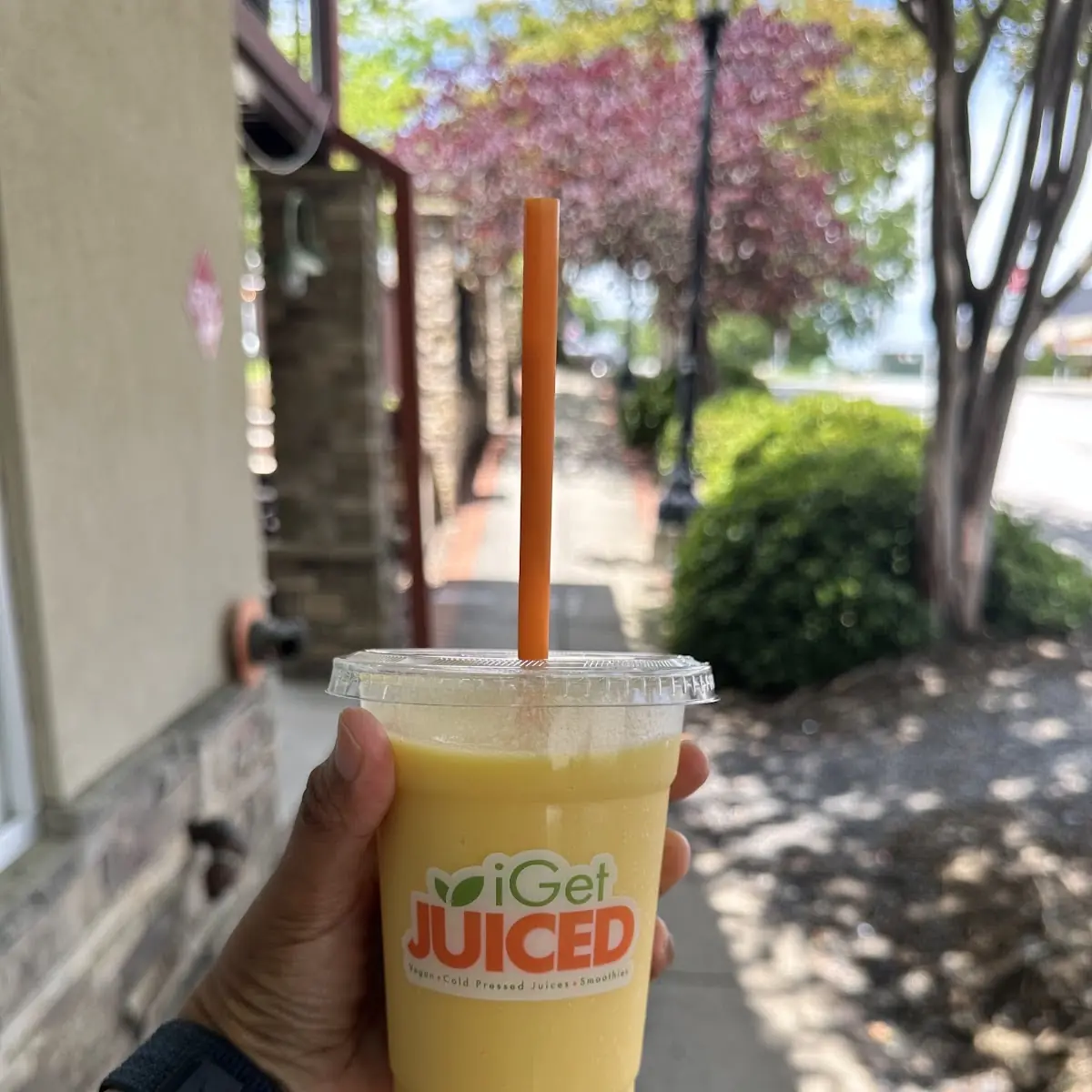 Cold Pressed Fruit Smoothies