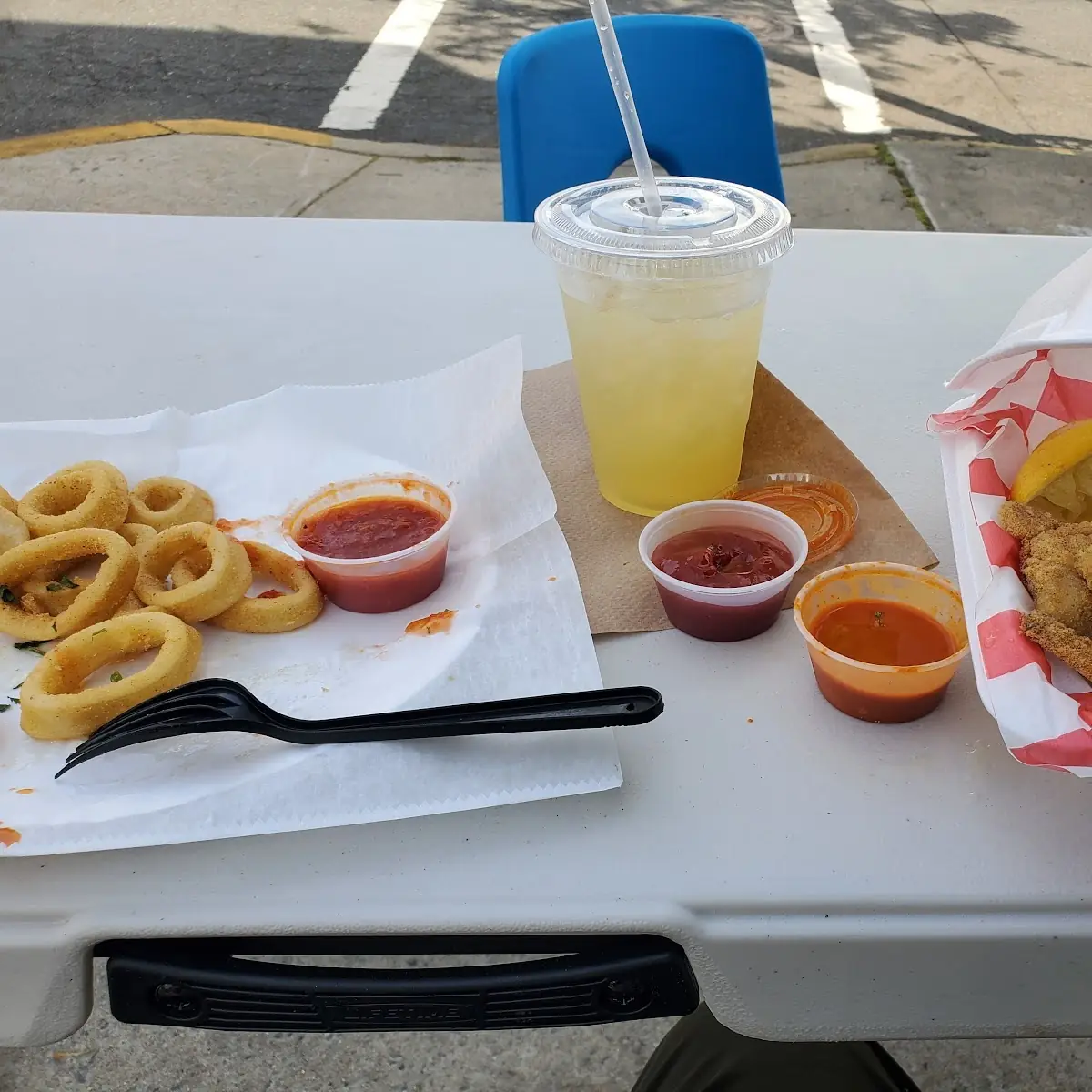Fried Calamari with Fish and Chips