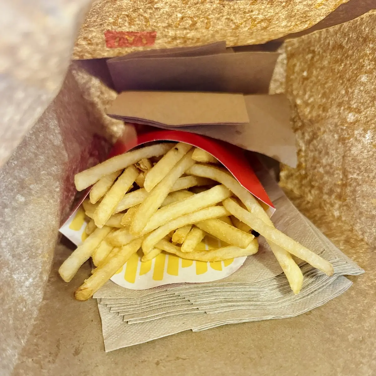 World Famous Fries