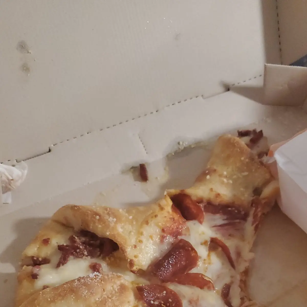 Pepperoni Calzone Pizza