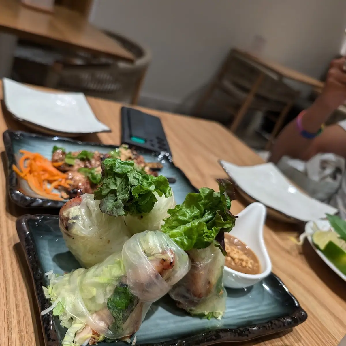 Fresh Vegetable Spring Rolls