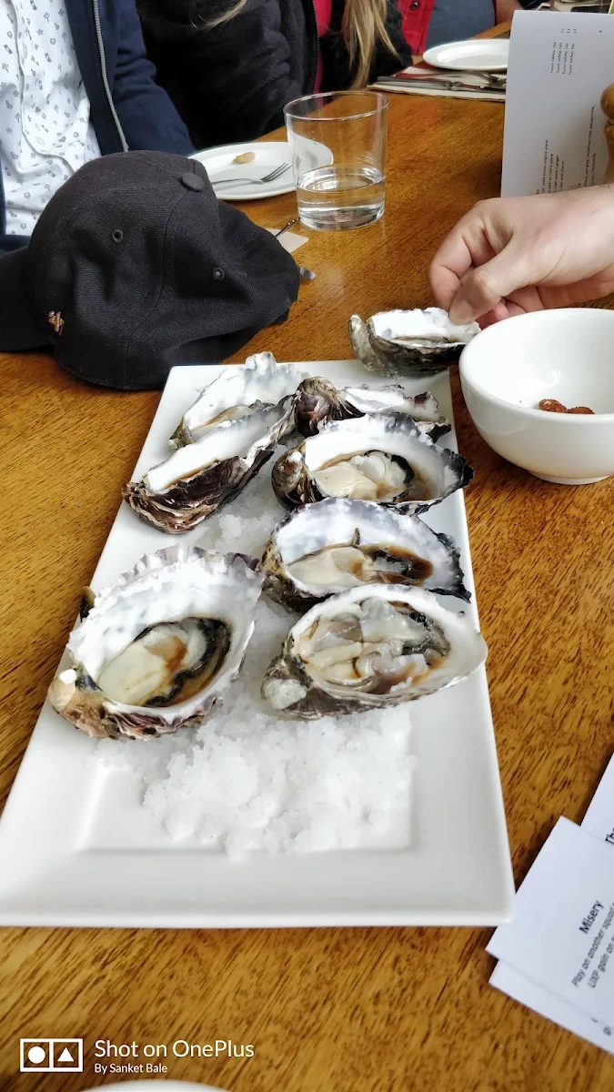 Oyster, Peppermint Bay & Peppermint Bay Cruises