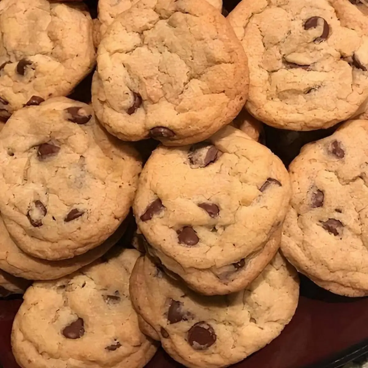 Large Chocolate Chip Cookie