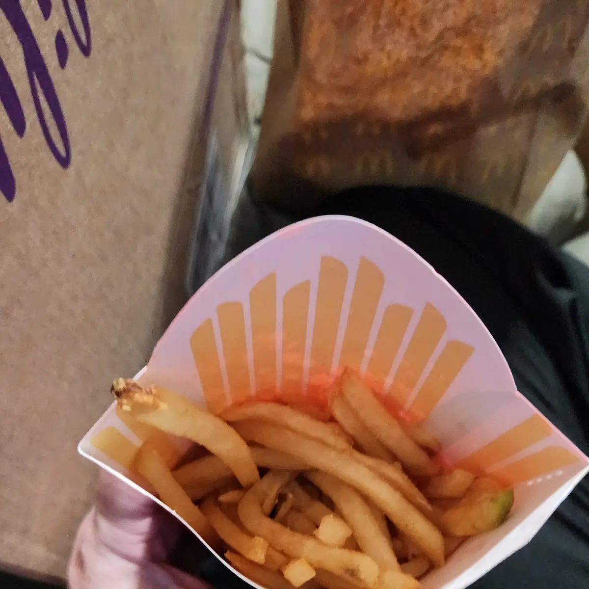 World Famous Fries