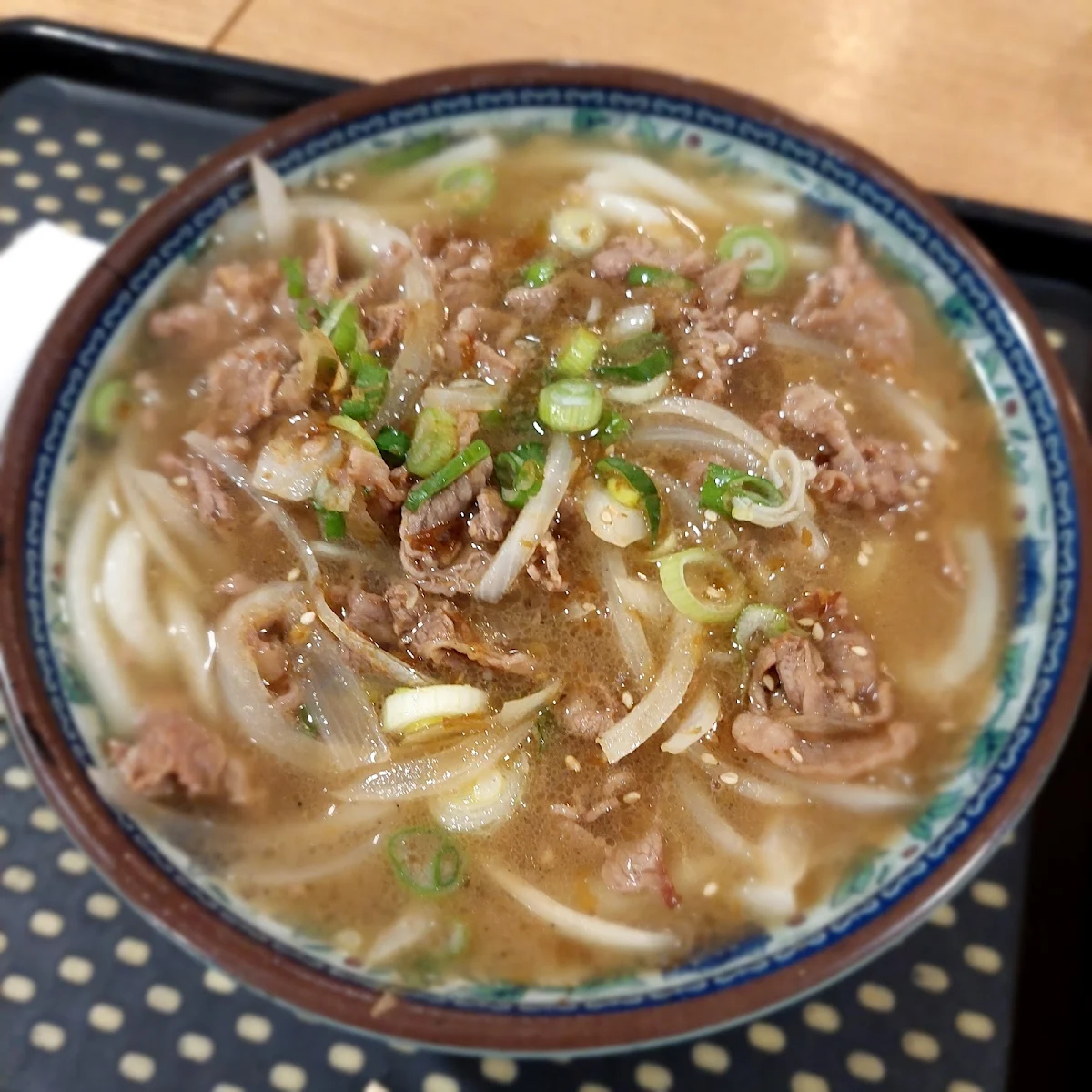 Udon Beef Noodle Soup