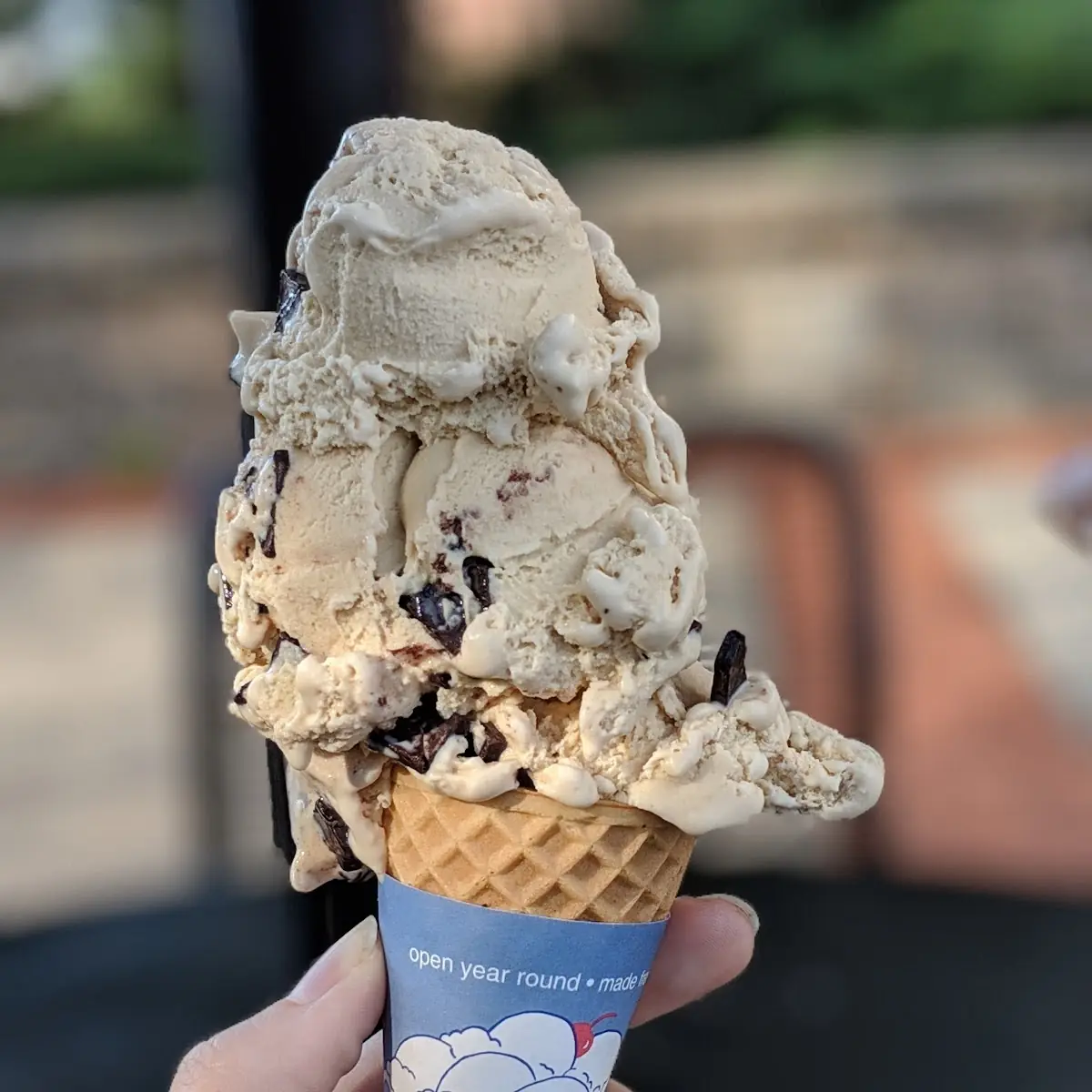 Coffee Chocolate Chip