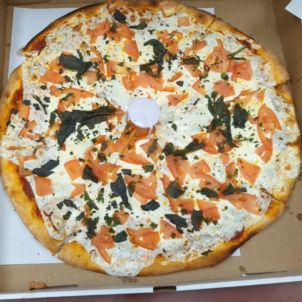 Margherita Pizza