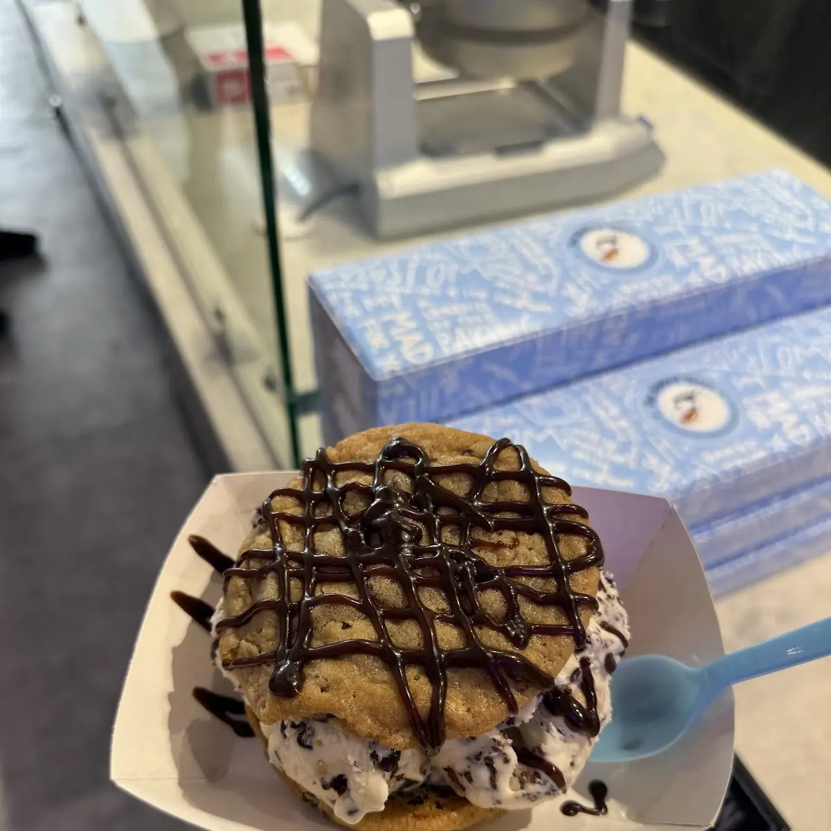 Chocolate Chip Cookie