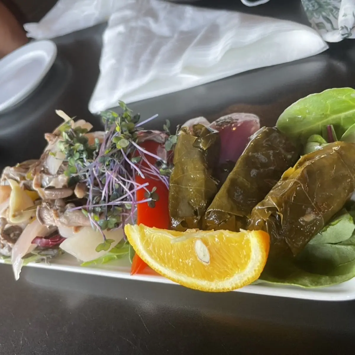 Dolma and Hummus Platter