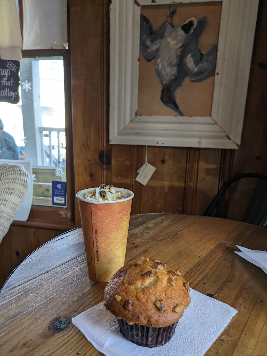 Blueberry Muffin