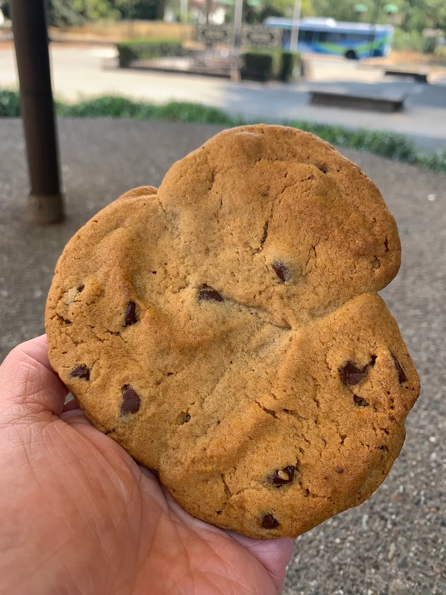 Chocolate Chip Cookie