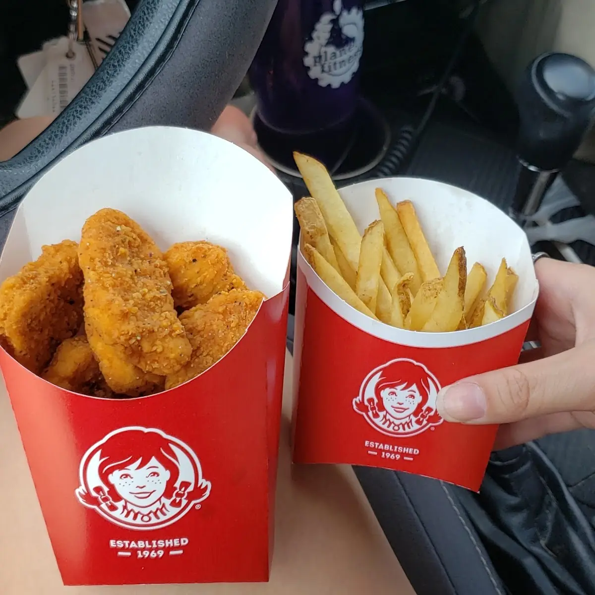Chicken Nuggets and Fries