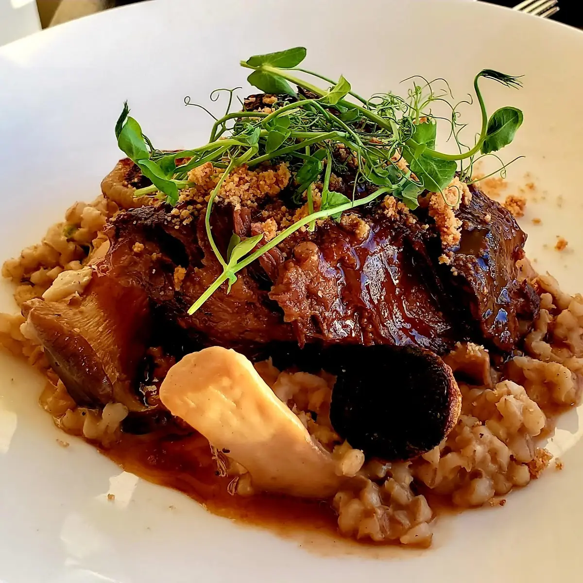Hawaiian Short Rib