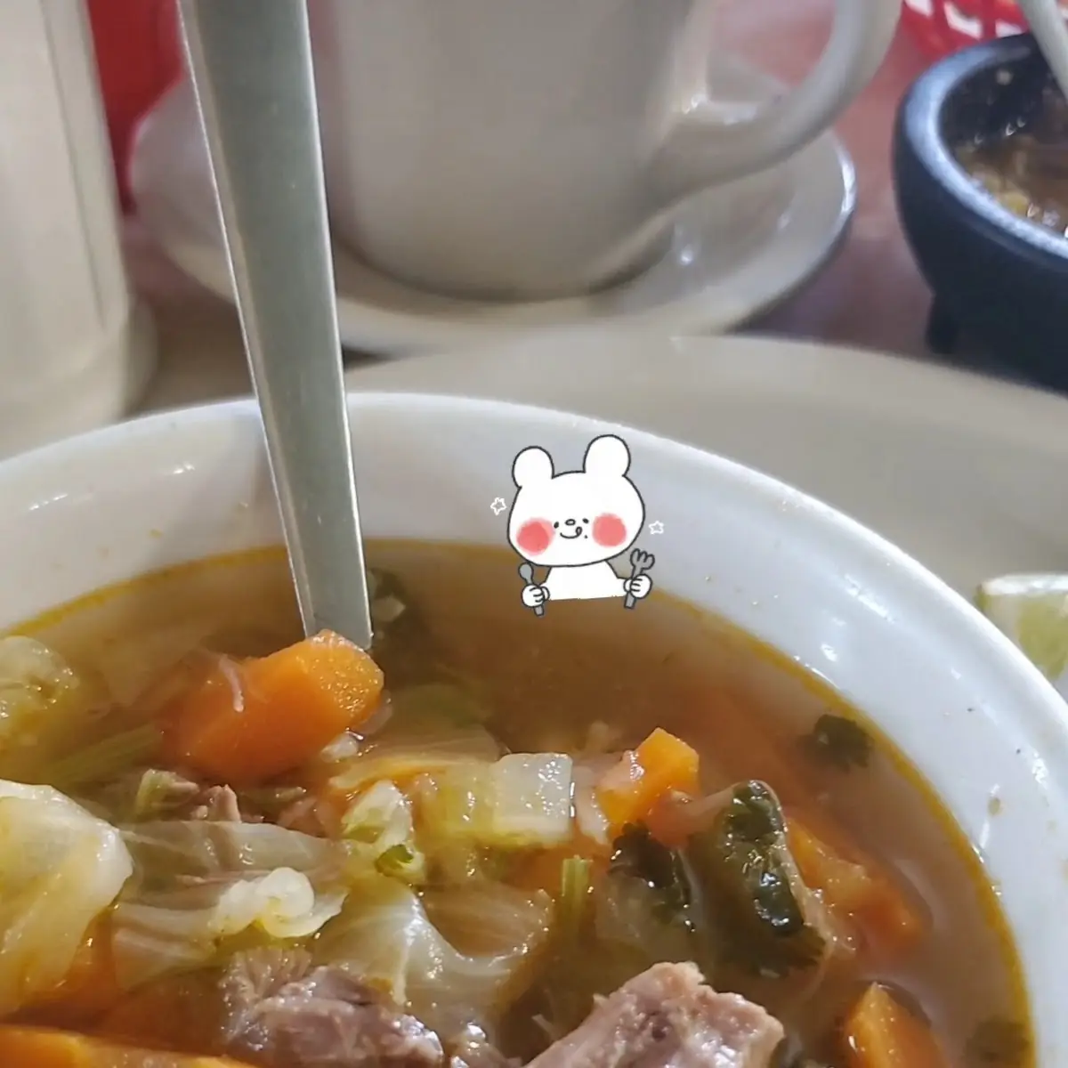 Beef Soup