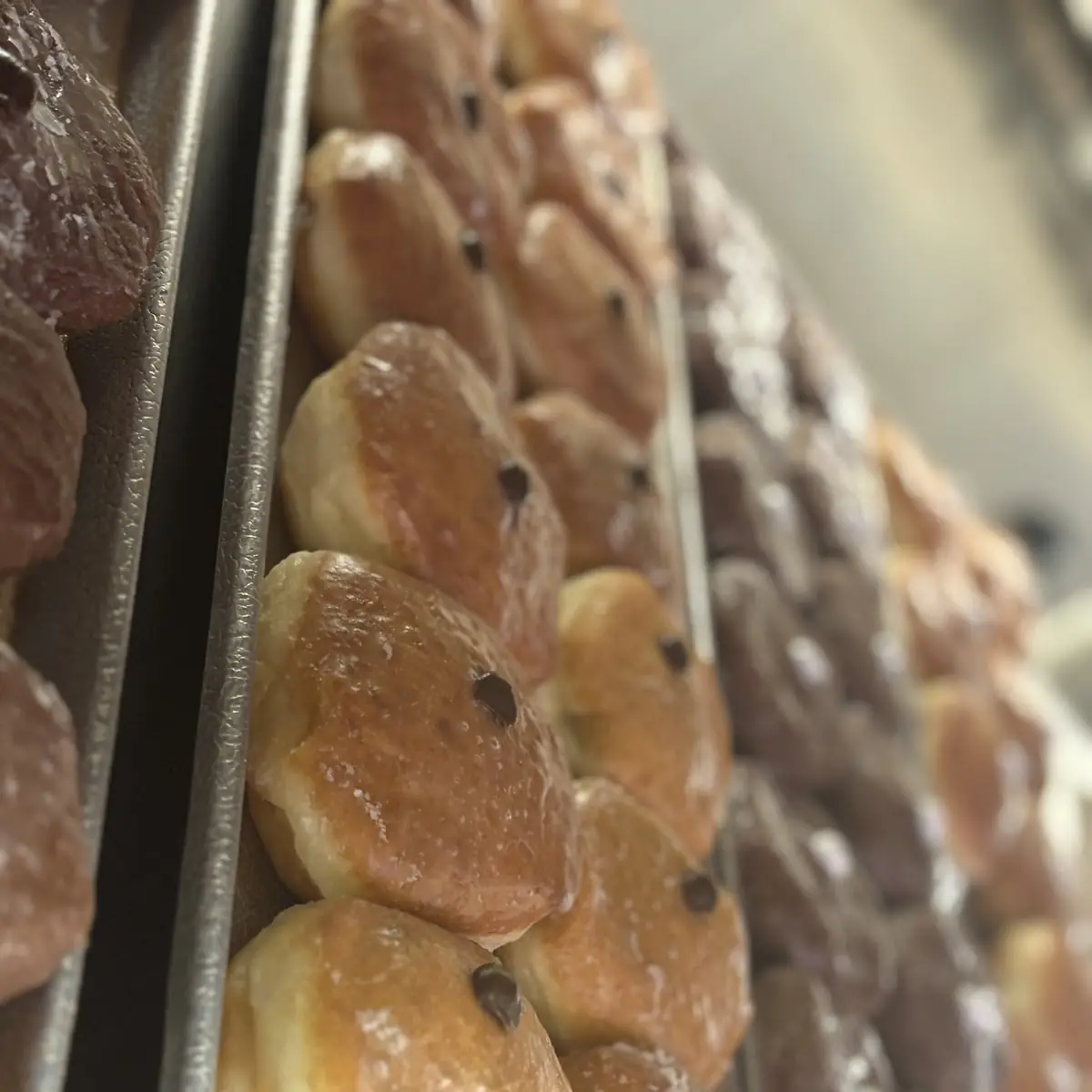 1 Dozen Do-Nut Holes