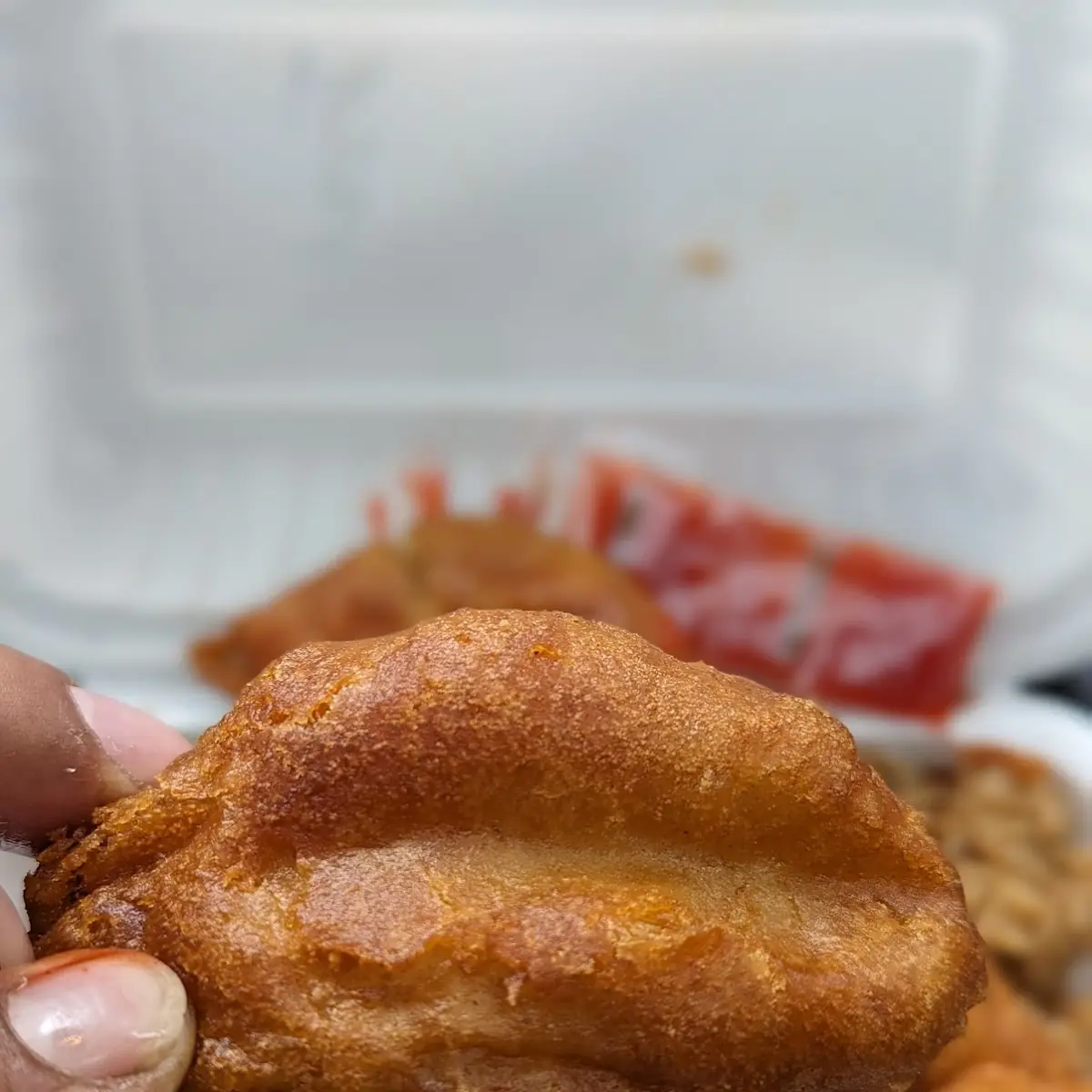 Fried Fish with Pork Fried Rice