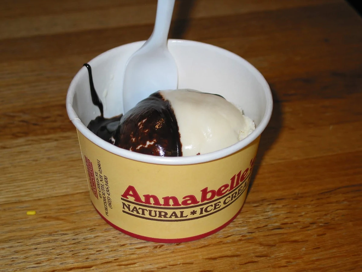 Pure Vanilla Ice Cream