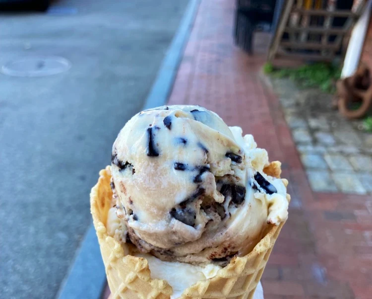 Vanilla Chocolate Chip