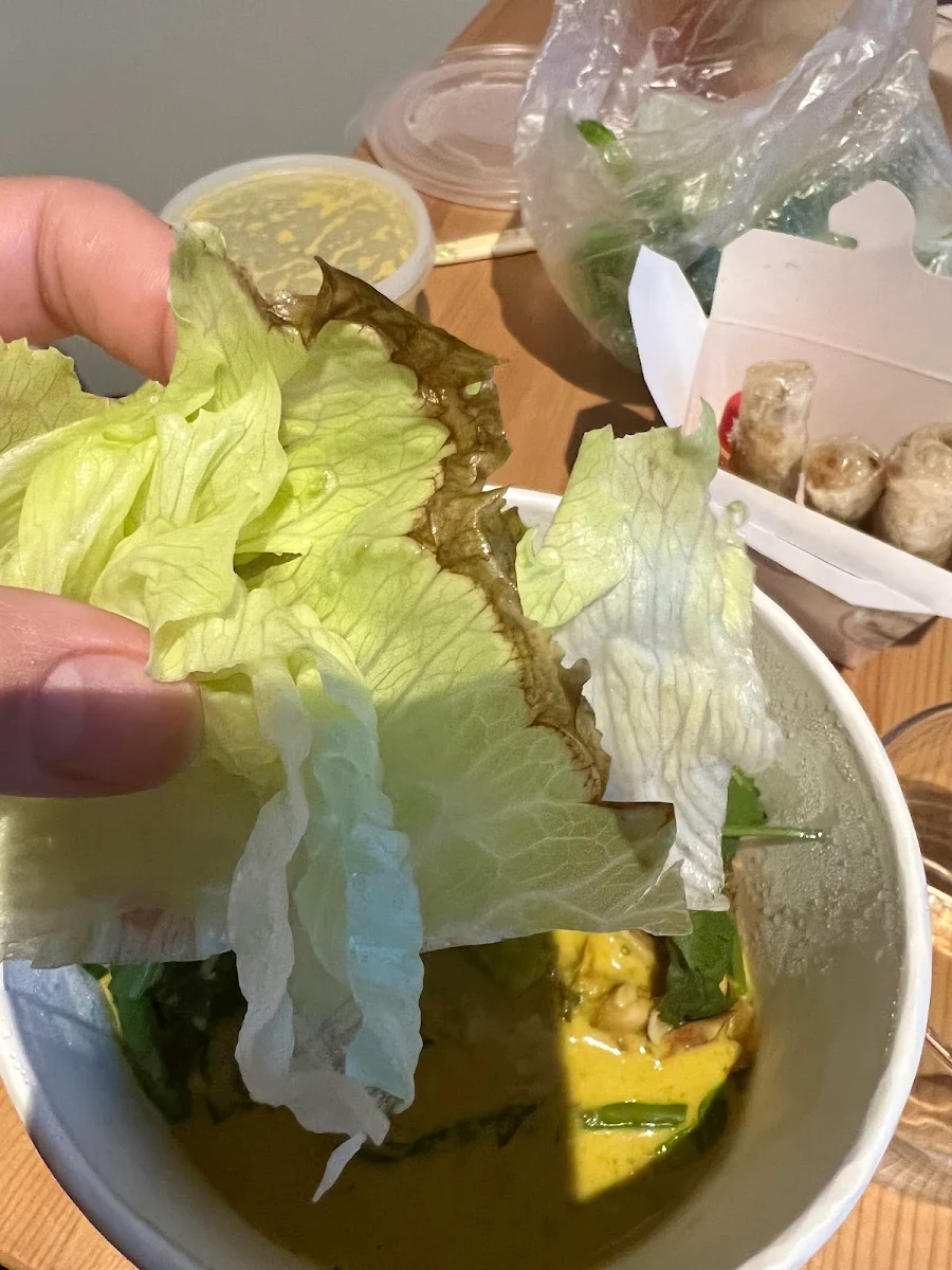 Lettuce, MISSCHU South Yarra