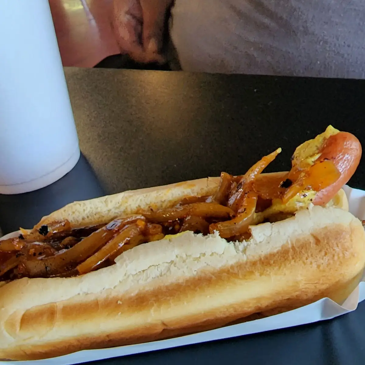 Spicy Onion Hot Dog