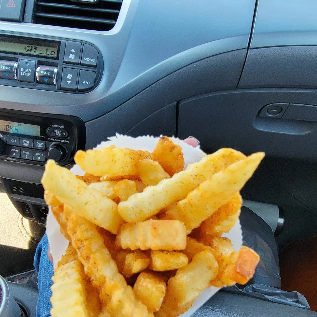 Seasoned Fries