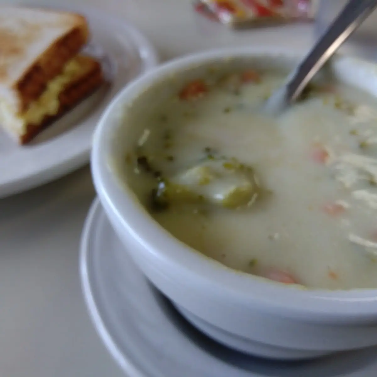 Garden Vegetable Soup
