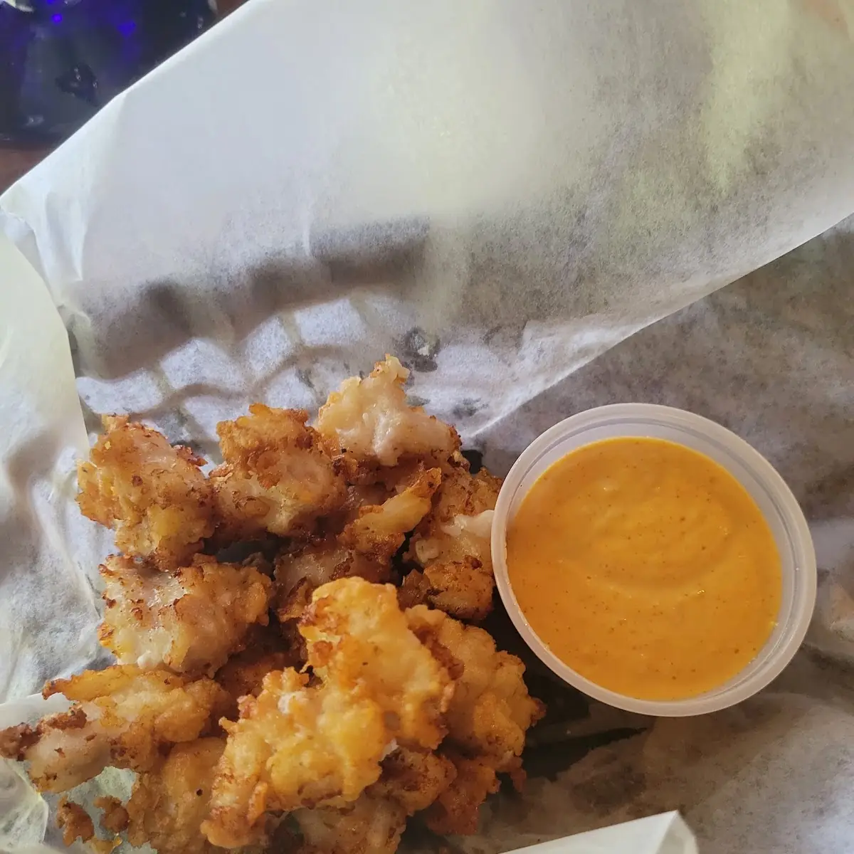 Gator Bites