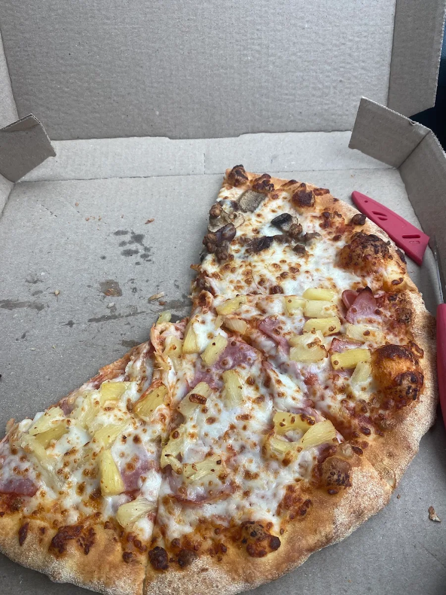 Mushroom Pizza Slices