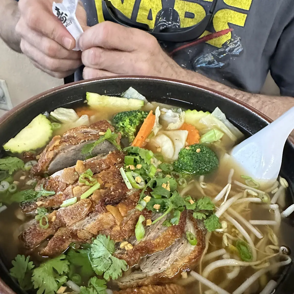 Duck Noodle Soup