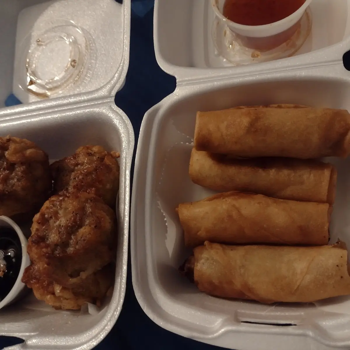 Dumplings and Fried Spring Rolls
