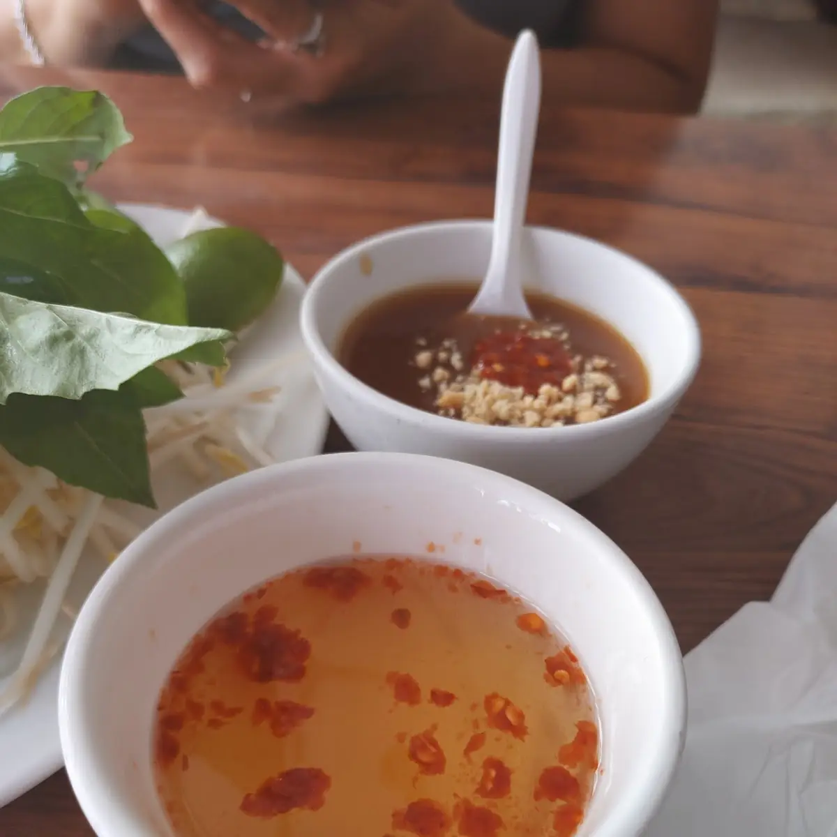 Gỏi Cuốn Tôm Thịt - Spring Rolls