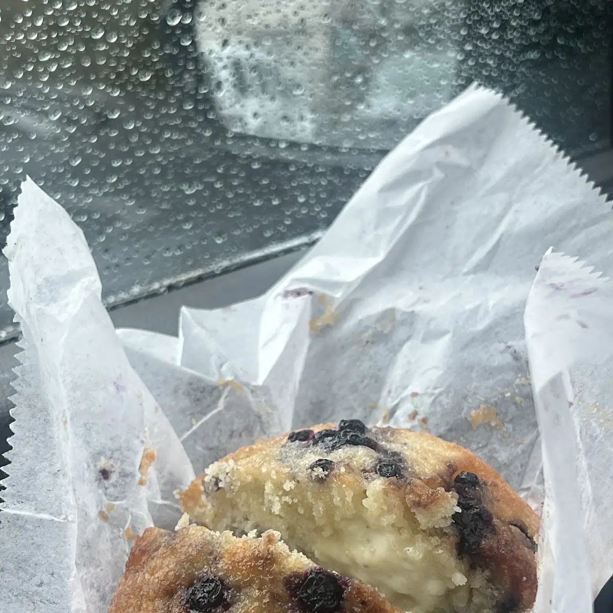 Blueberry Muffin