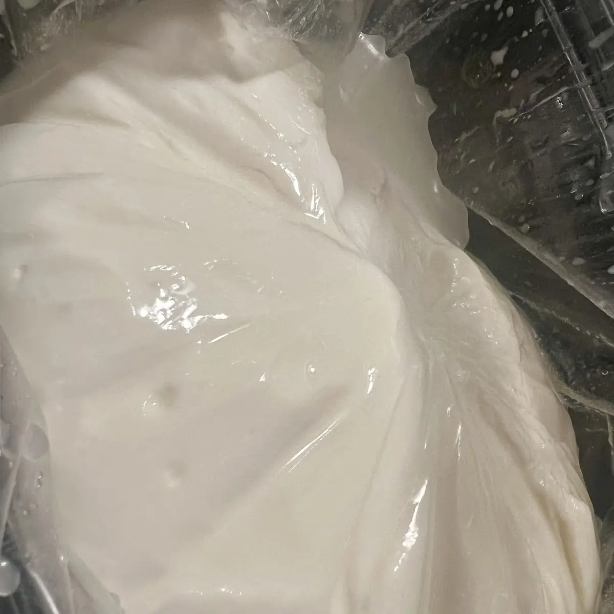 Fresh Mozzarella Cheese