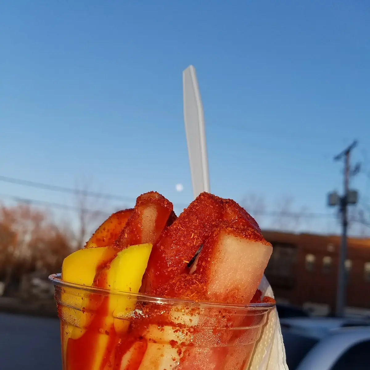 Fruit Cup