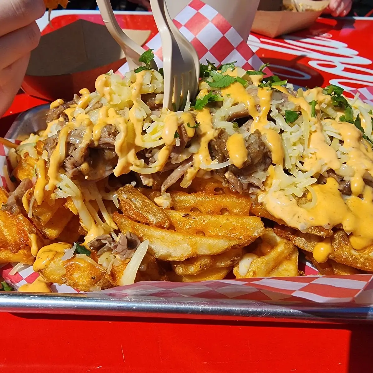 Dirty Fries