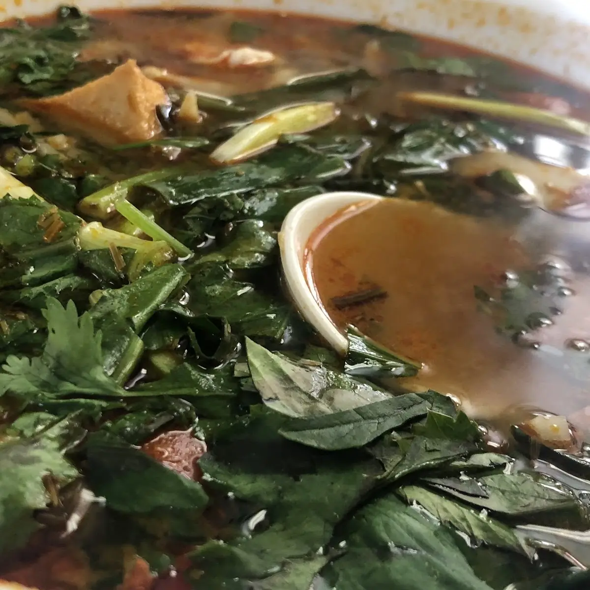 Chicken Rice Noodle Soup