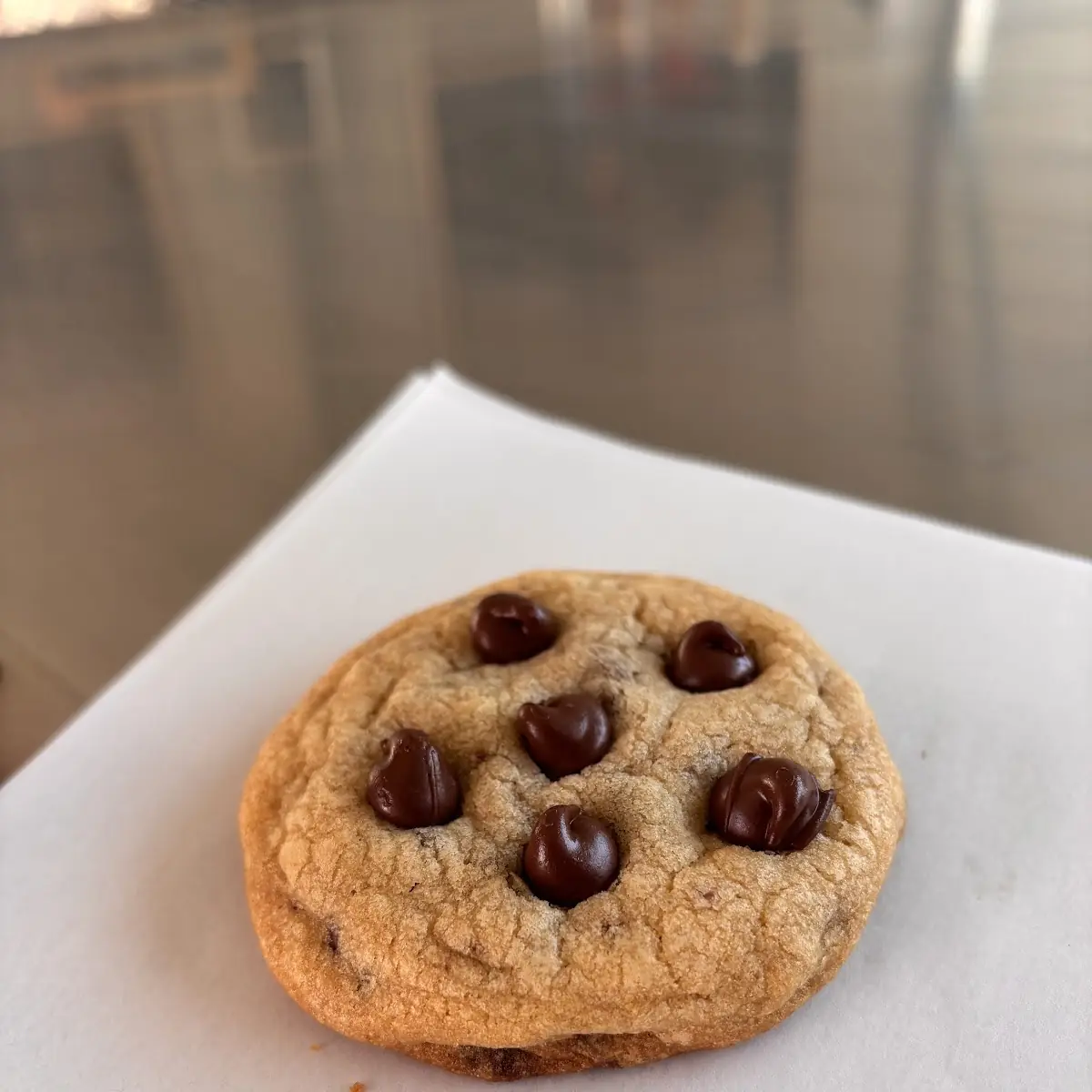 Homemade Chocolate Chip Cookie