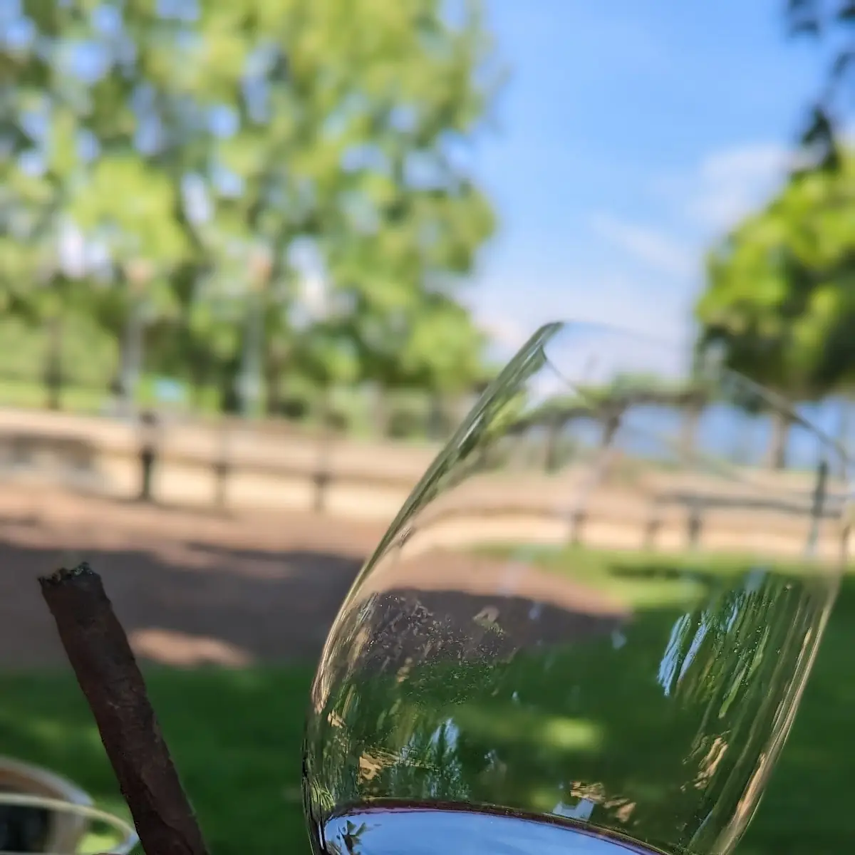 Cabernet Sauvignon