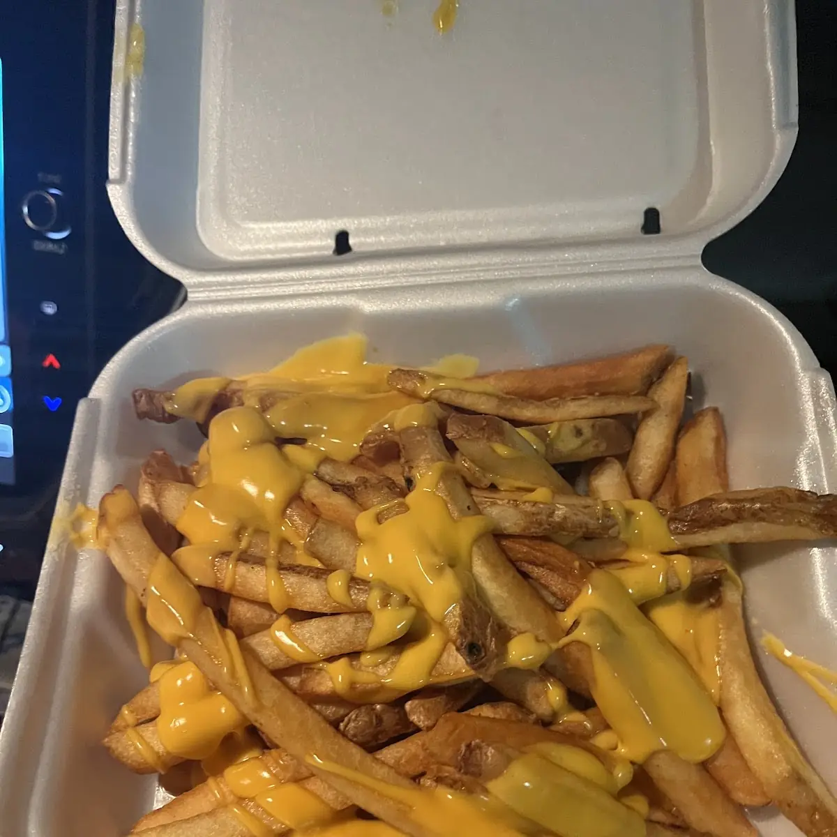 Cheese Fries