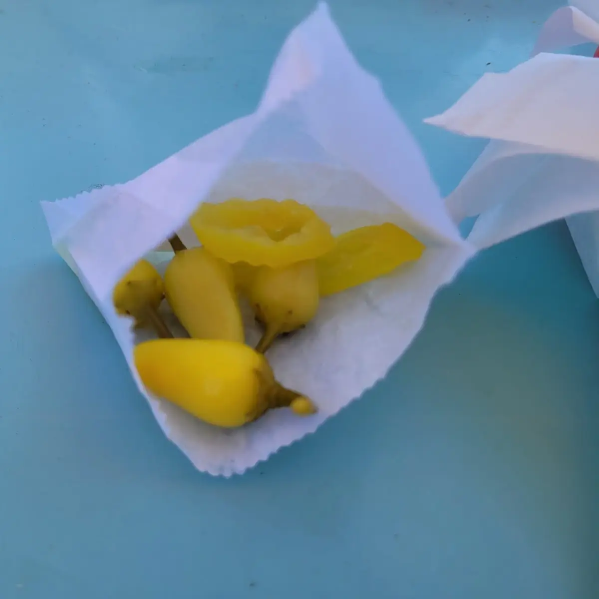 Yellowtail Jalapeno