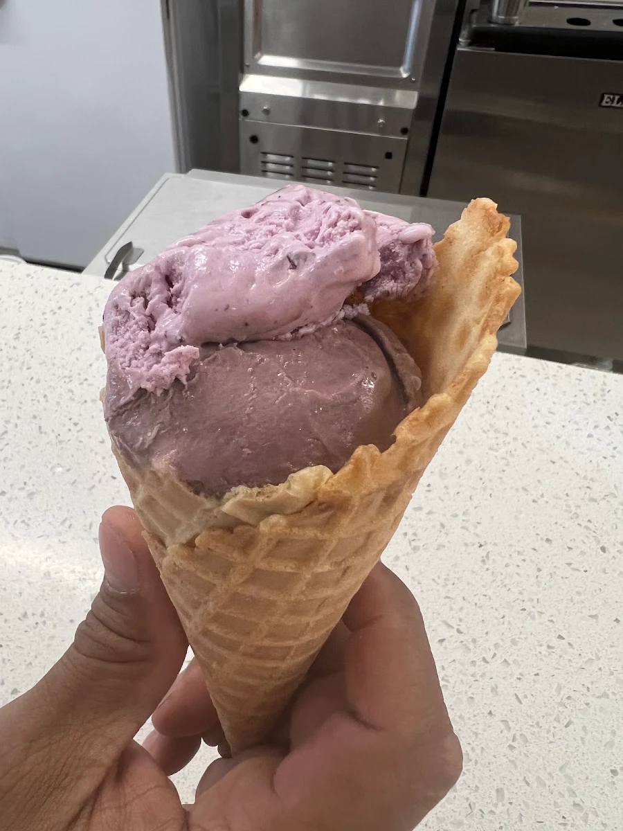 1 Scoop Hand Dipped